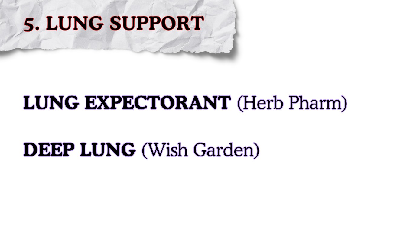 Lung support supplement list